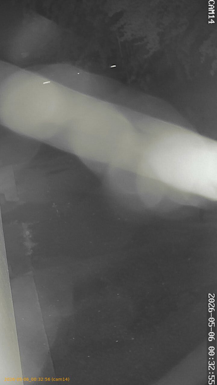 20260506003256