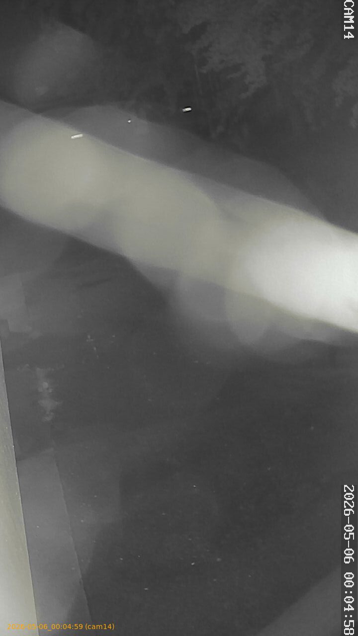 thumbnail_202605060004