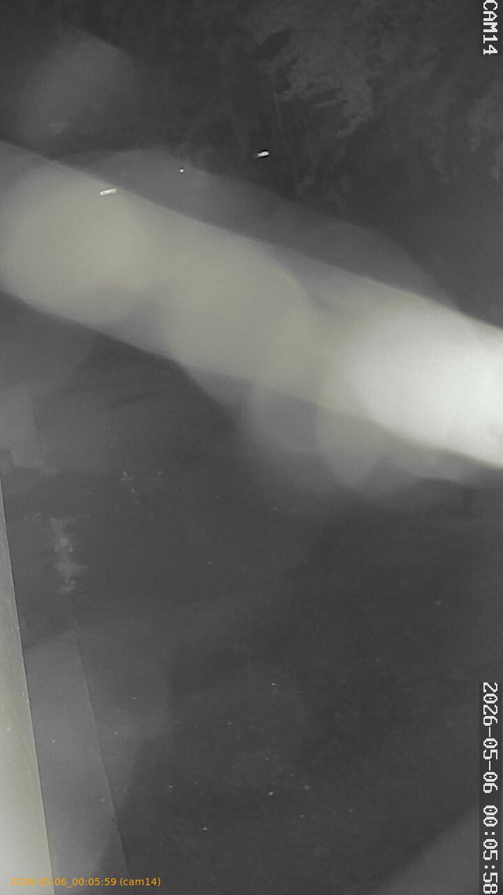 thumbnail_202605060005