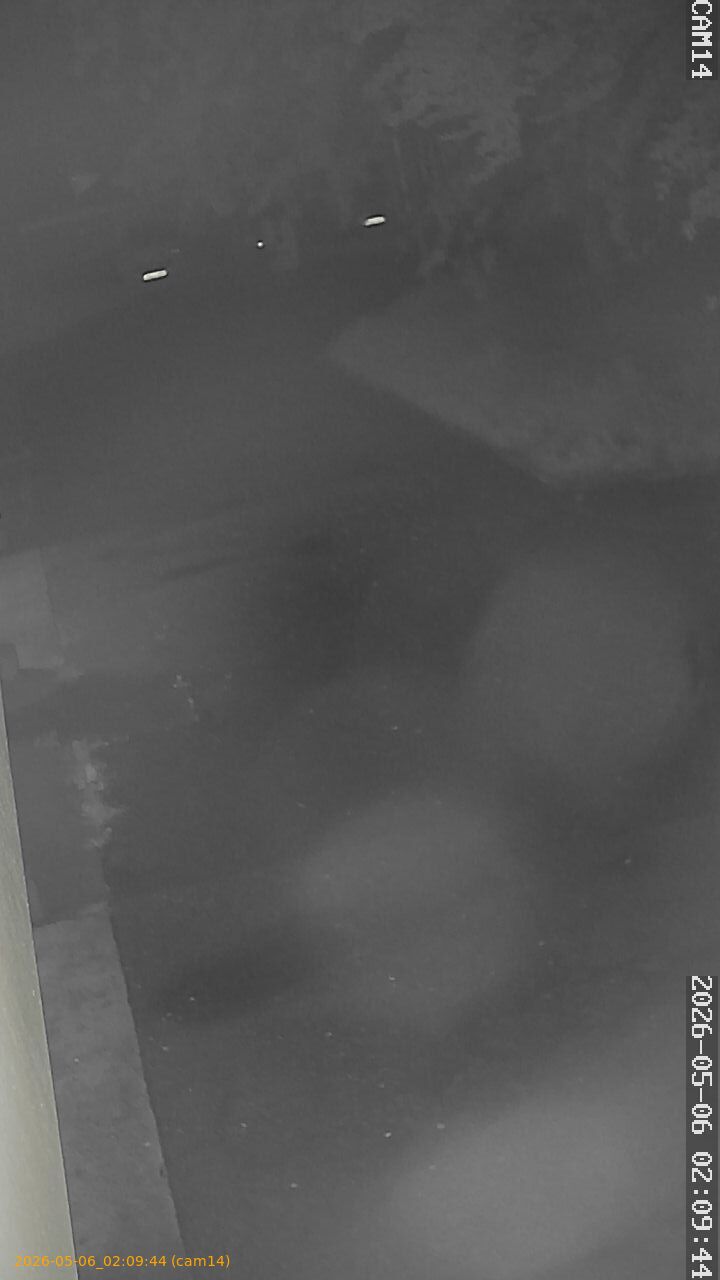 20260506020944