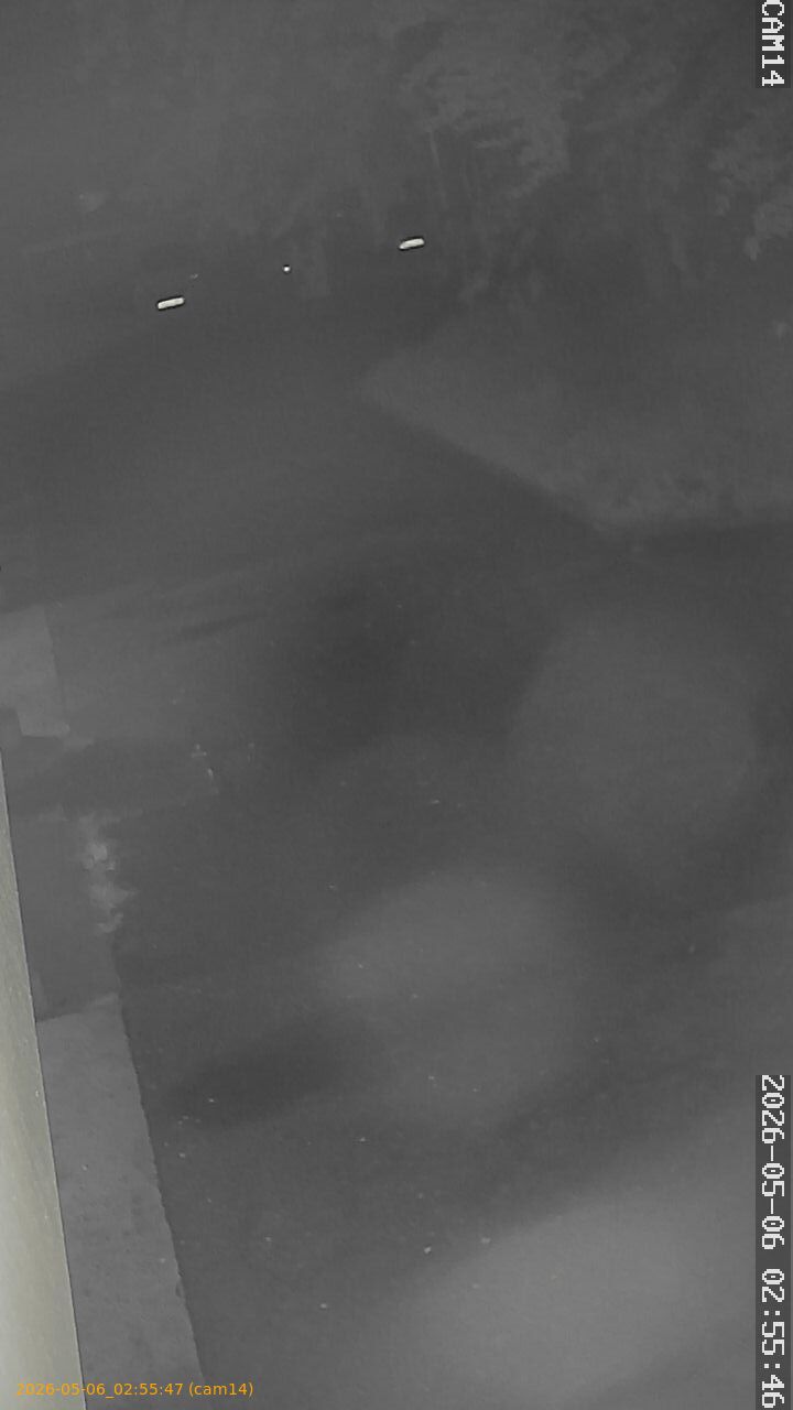 20260506025547