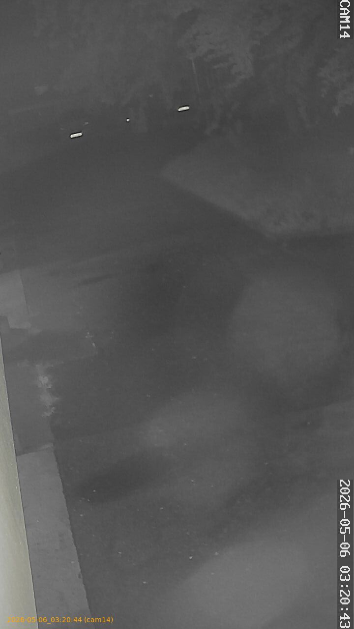 20260506032044