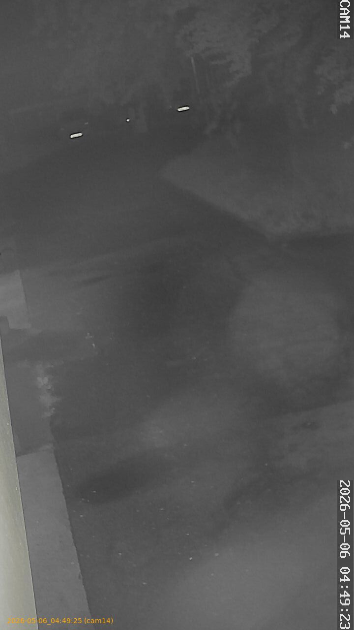 20260506044924