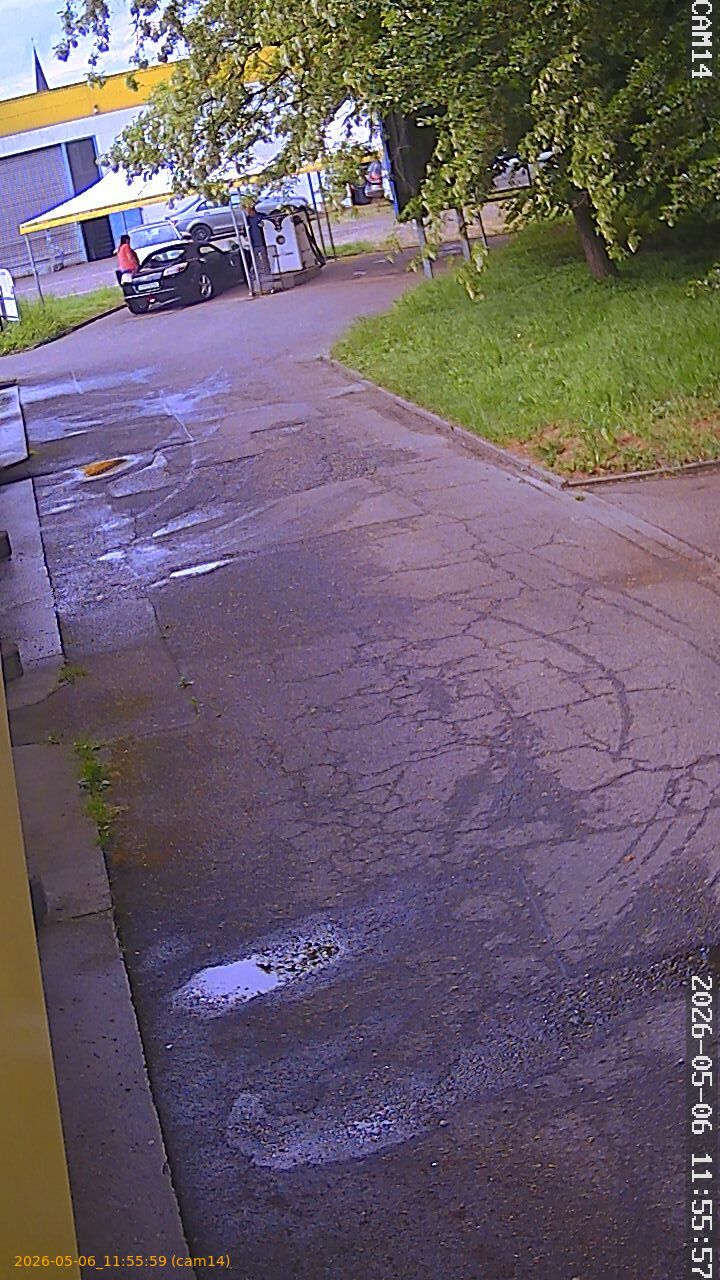 202605061155
