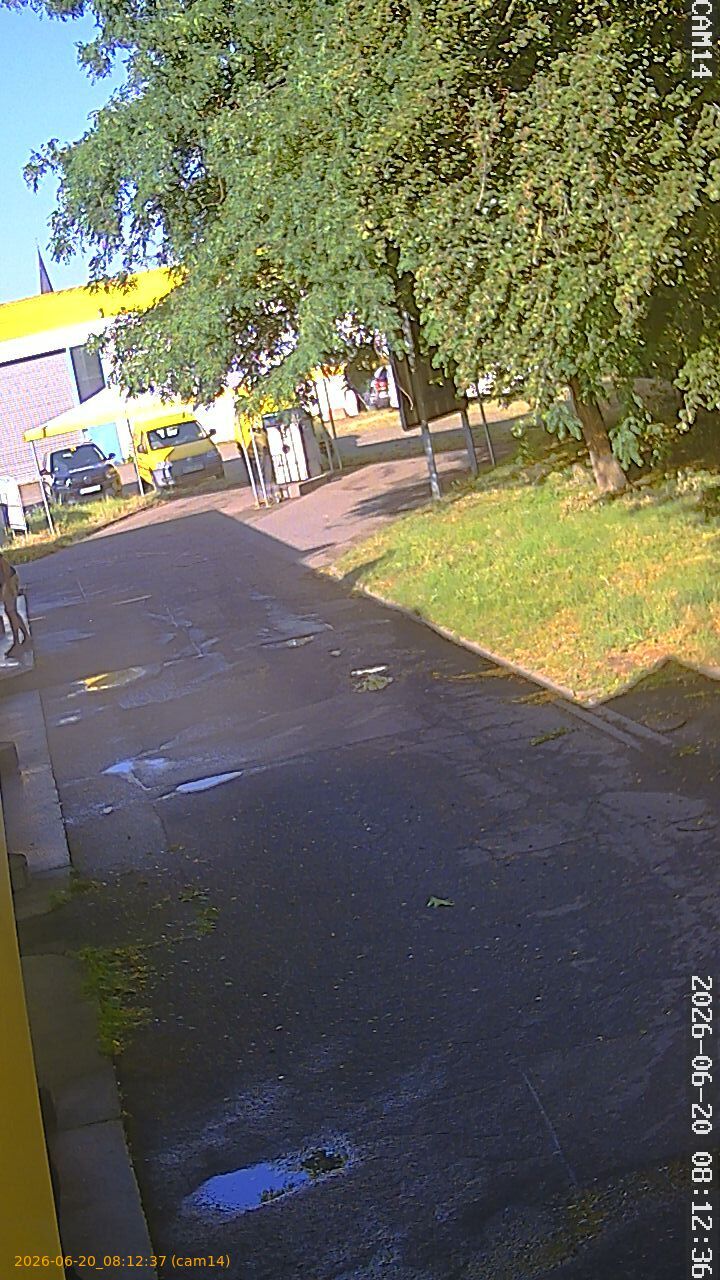 thumbnail_20260620081237
