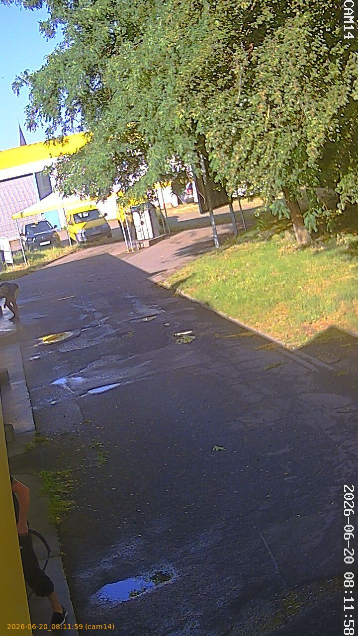 thumbnail_202606200811