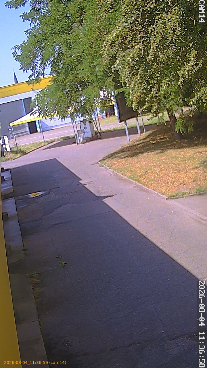 thumbnail_202608041136