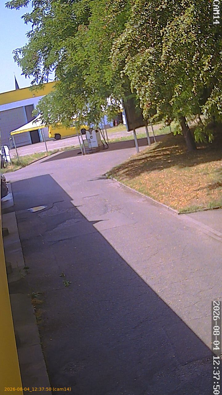 thumbnail_20260804123750
