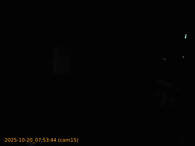 20251020075344