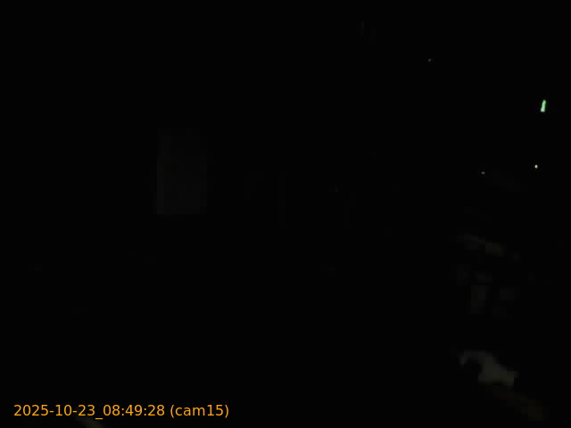 20251023084928