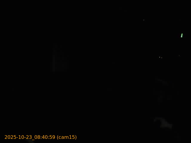 thumbnail_202510230840