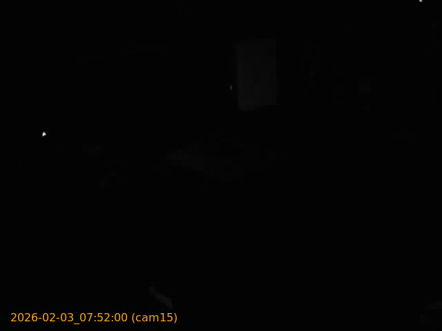 thumbnail_20260203075200