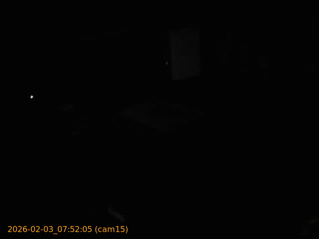 thumbnail_20260203075205