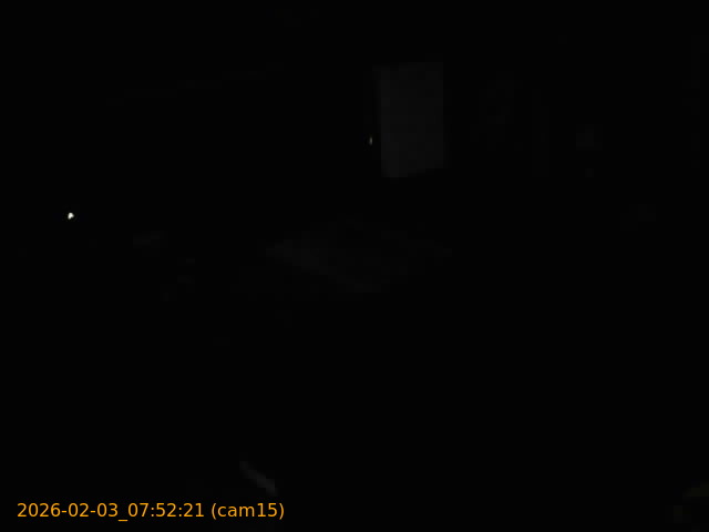 thumbnail_20260203075221