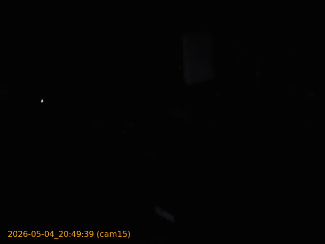 20260504204939