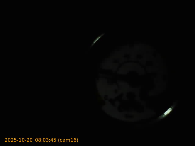 20251020080345