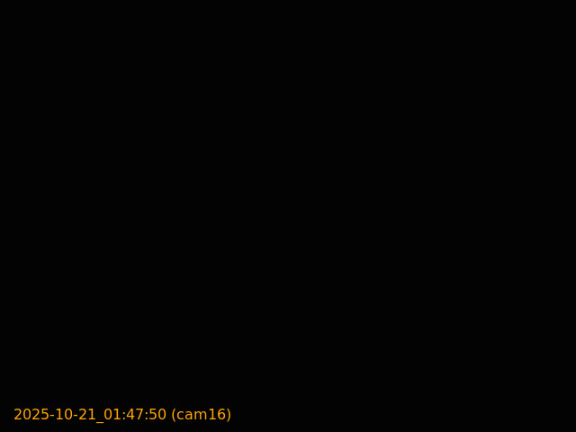 20251021014750