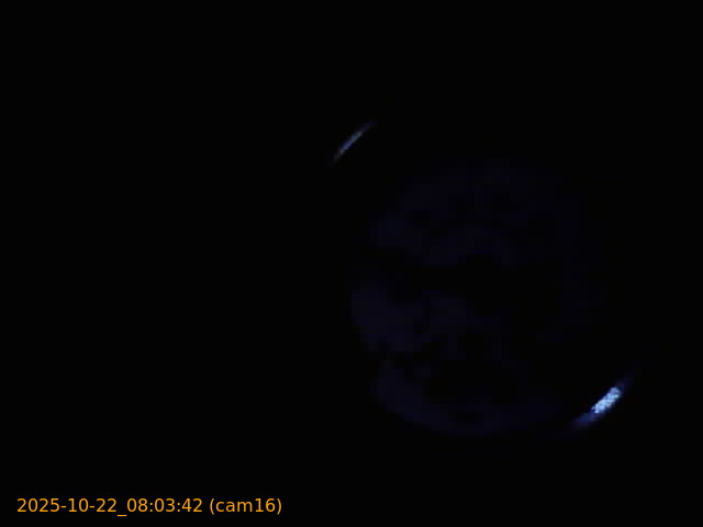 20251022080342