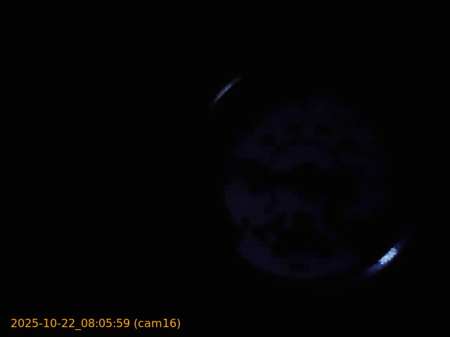 20251022080559