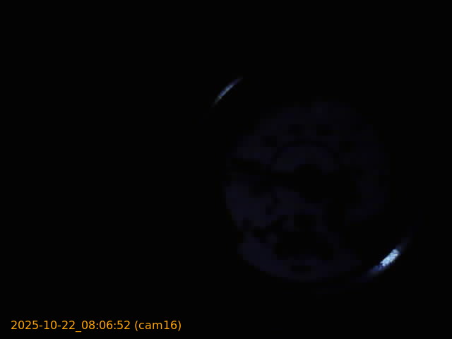 20251022080652