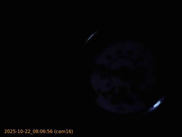 20251022080656