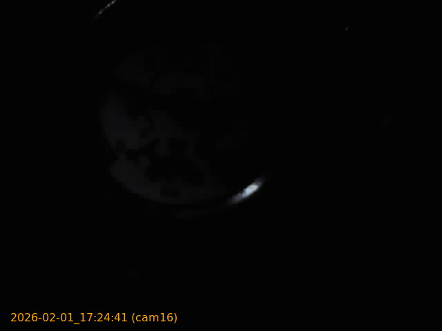 thumbnail_20260201172441