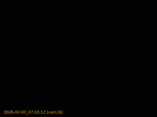 thumbnail_20260203071012