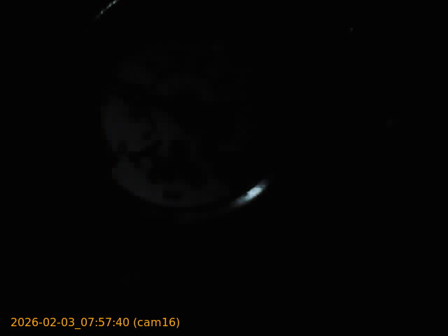 thumbnail_20260203075740