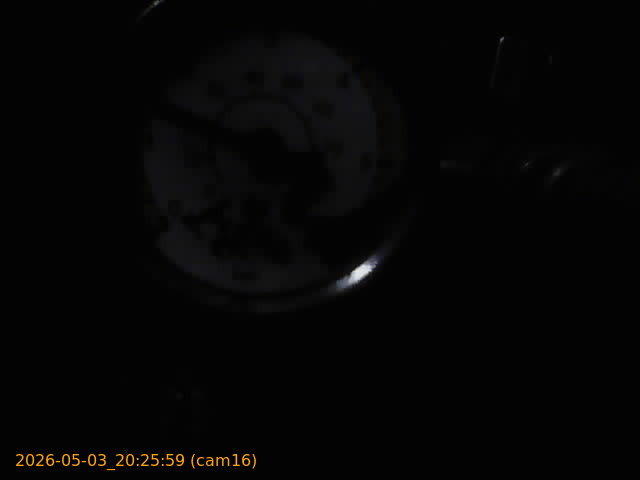 202605032025