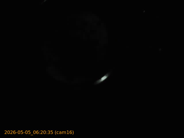 20260505062035