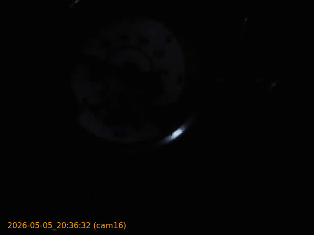 20260505203632