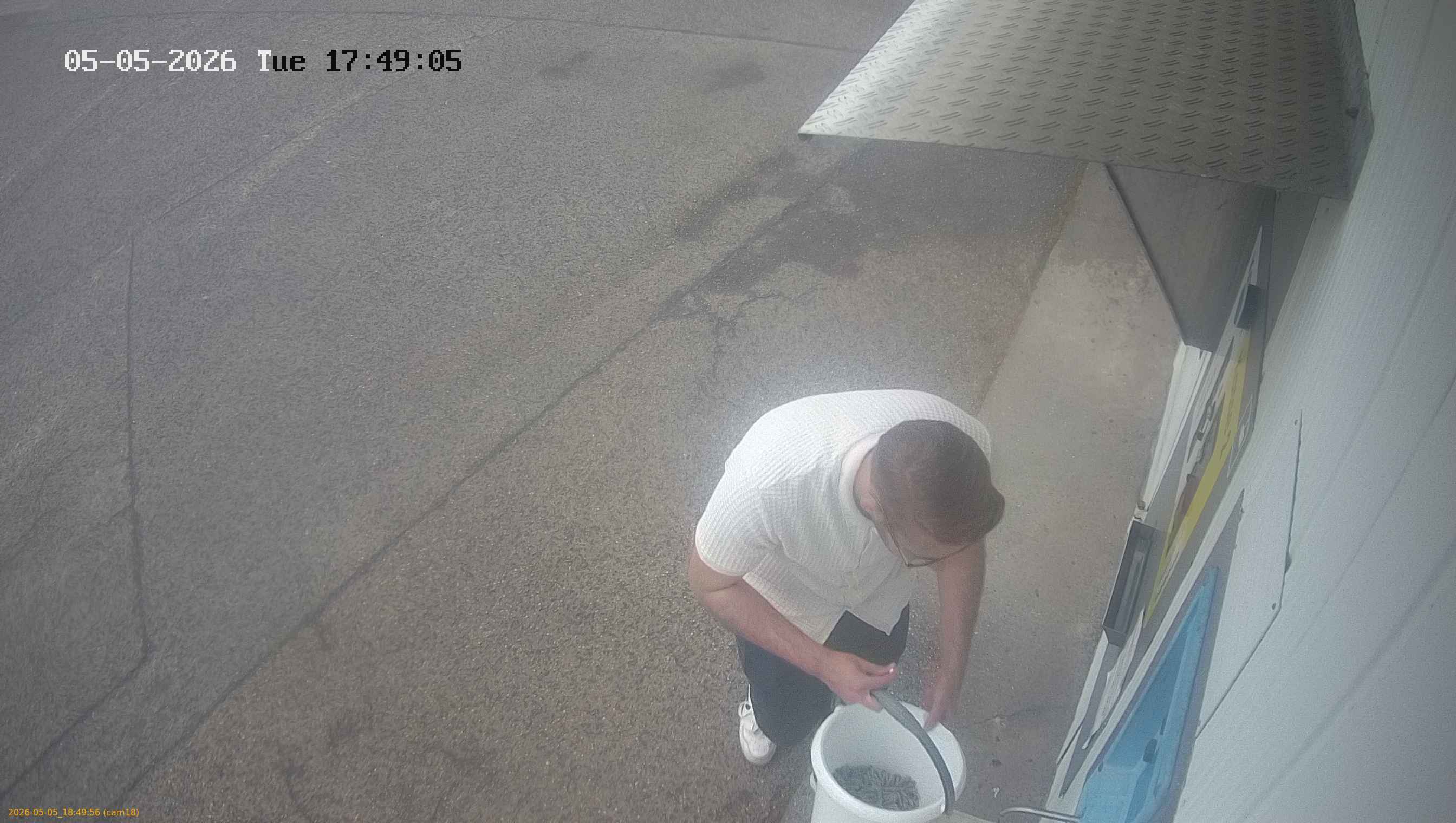 20260505184956
