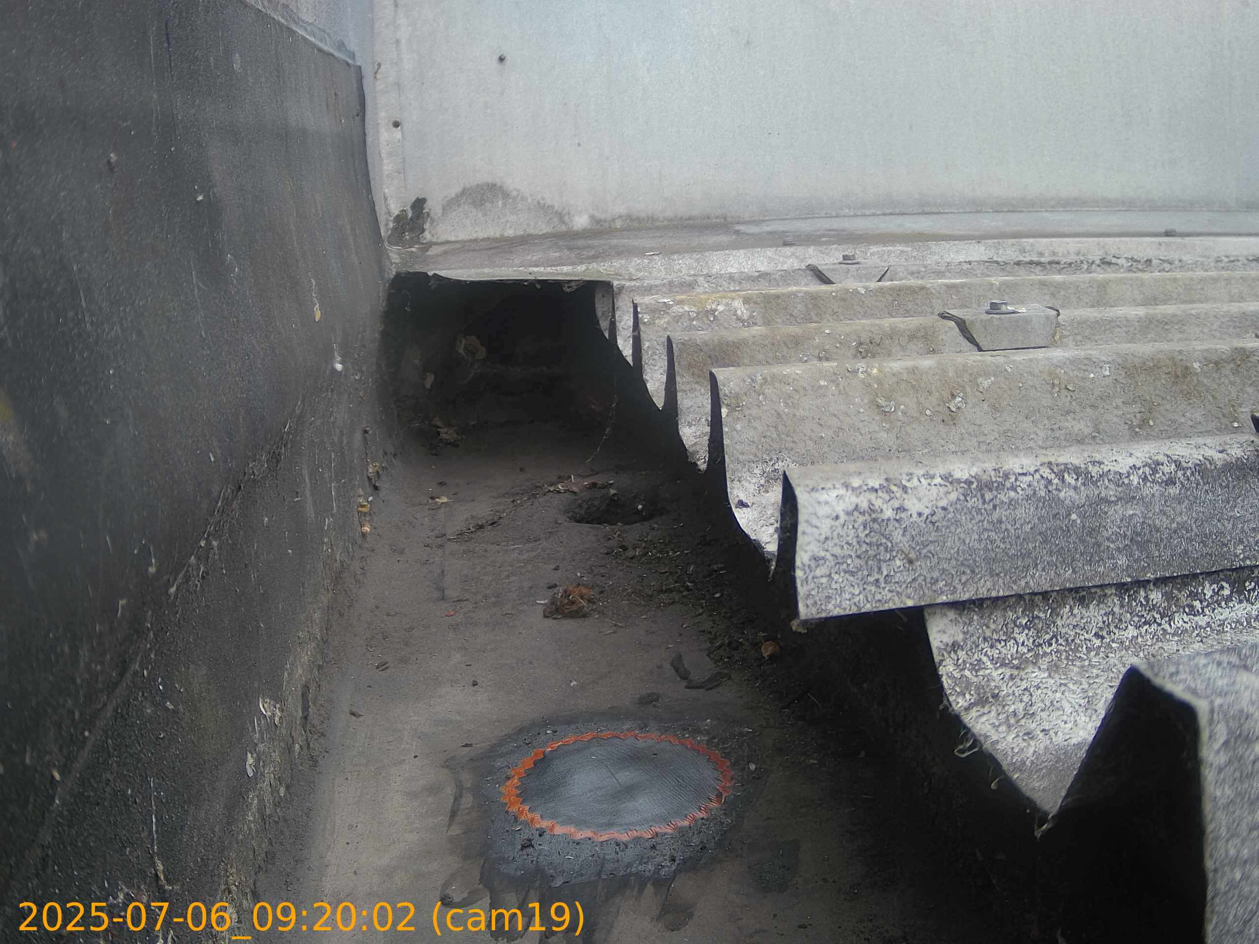 thumbnail_20250706092002