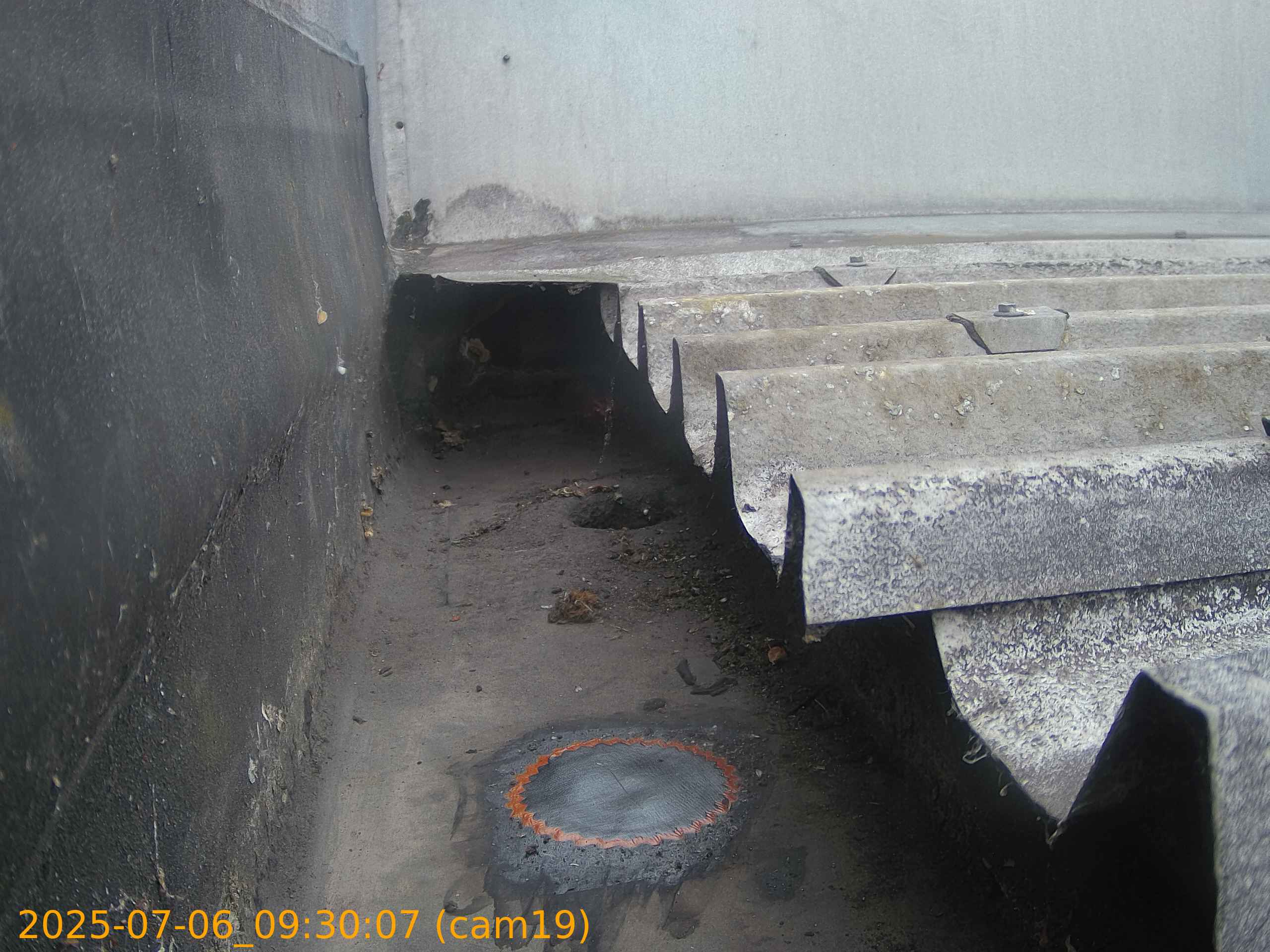 thumbnail_20250706093007