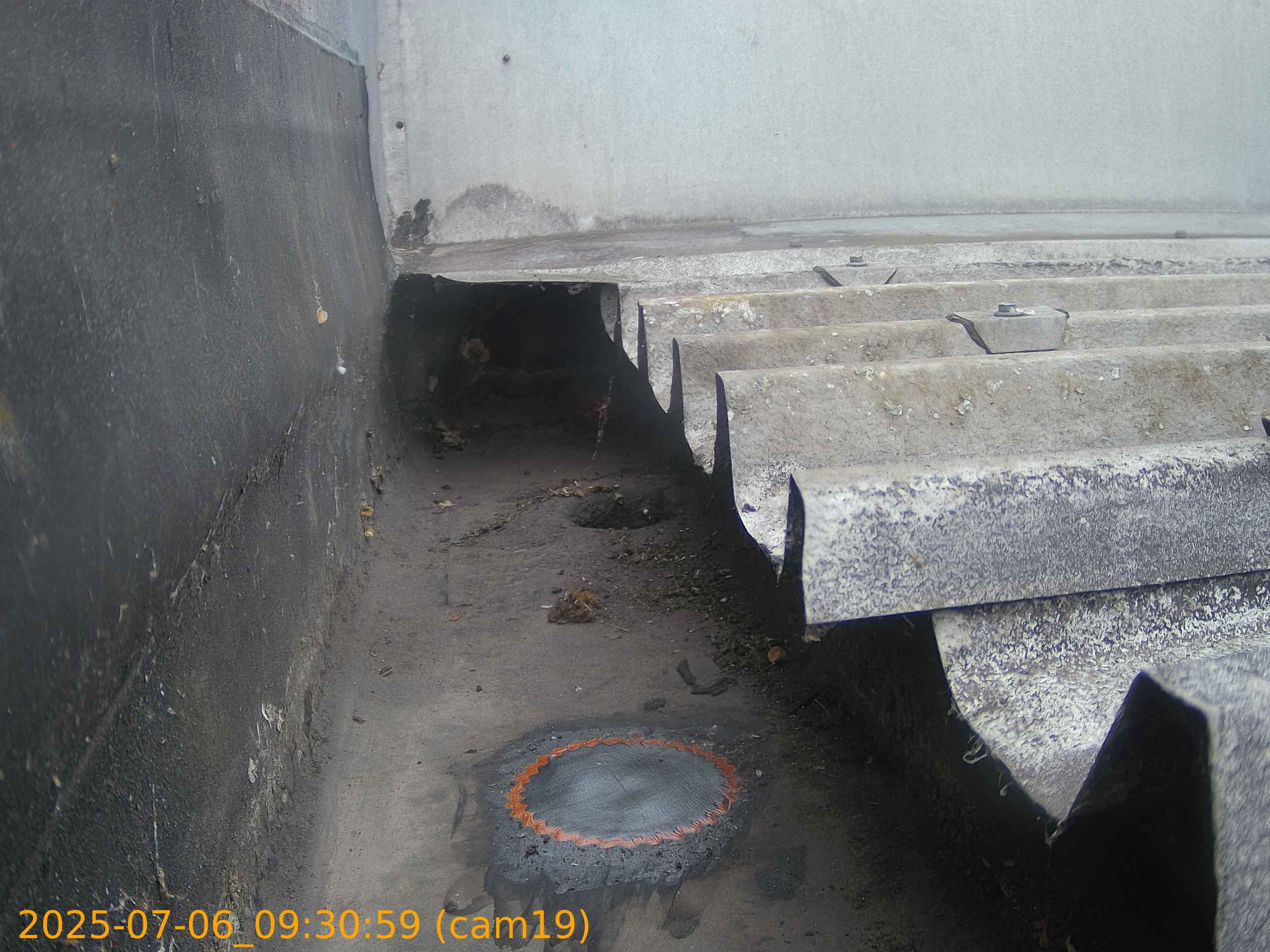 thumbnail_202507060930