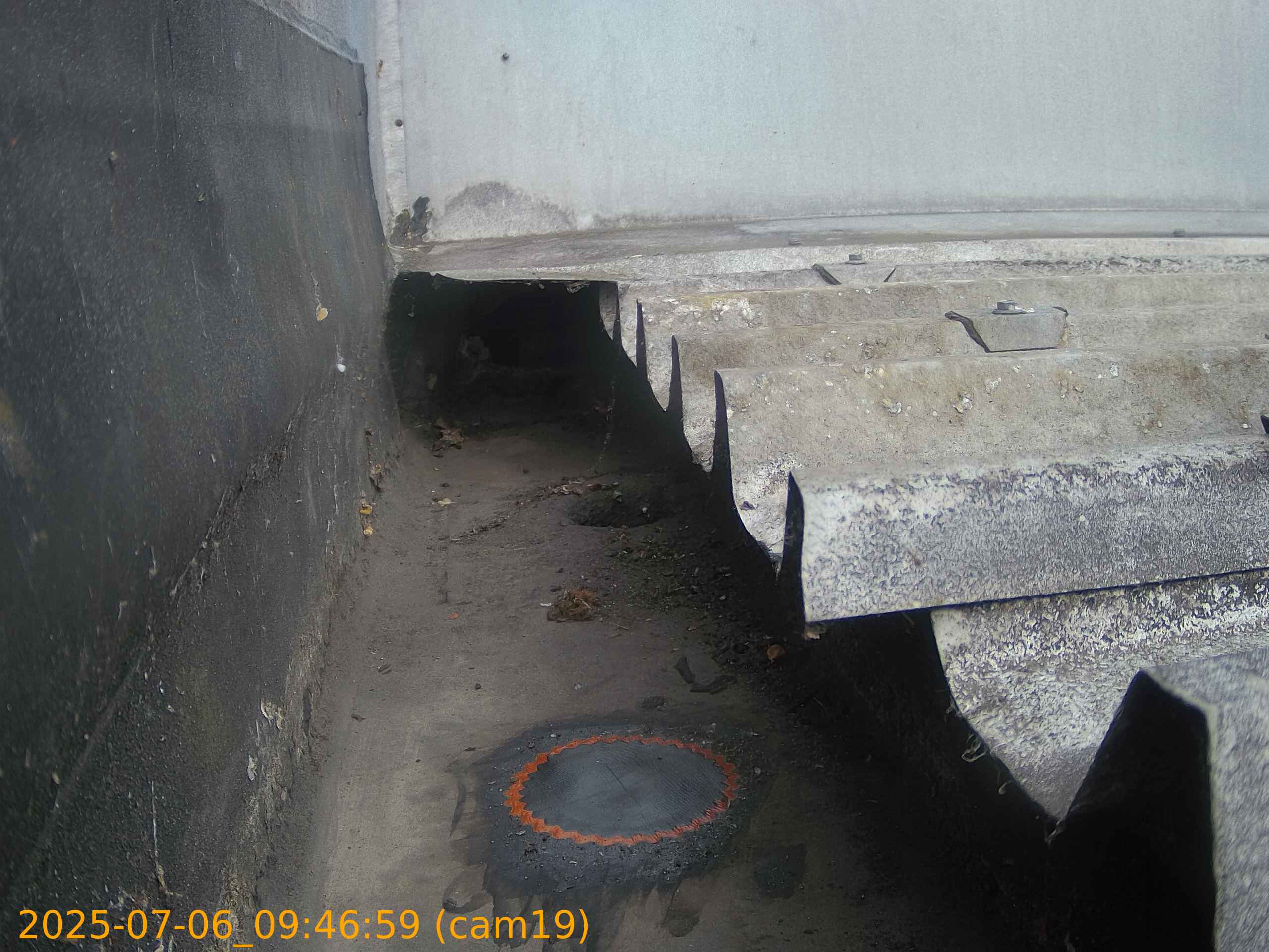 thumbnail_202507060946