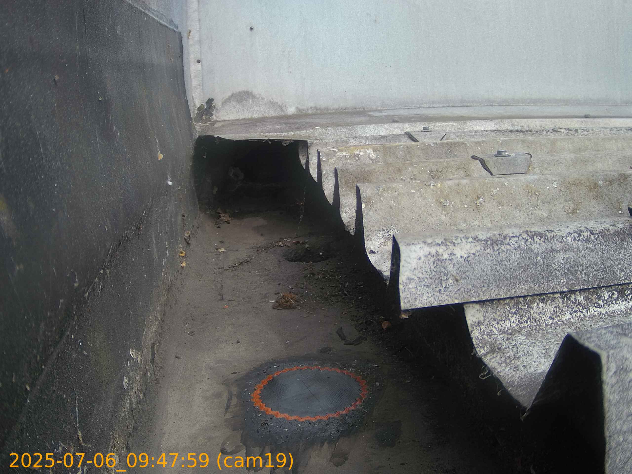 thumbnail_202507060947
