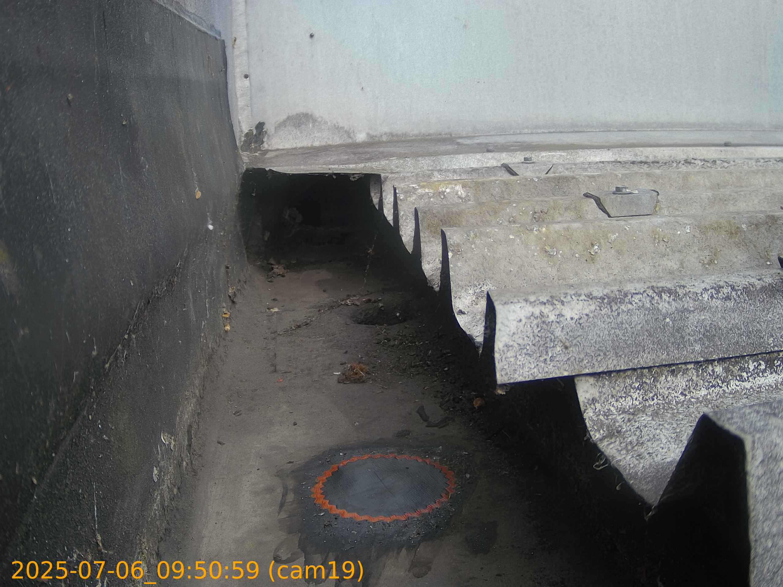 thumbnail_202507060950