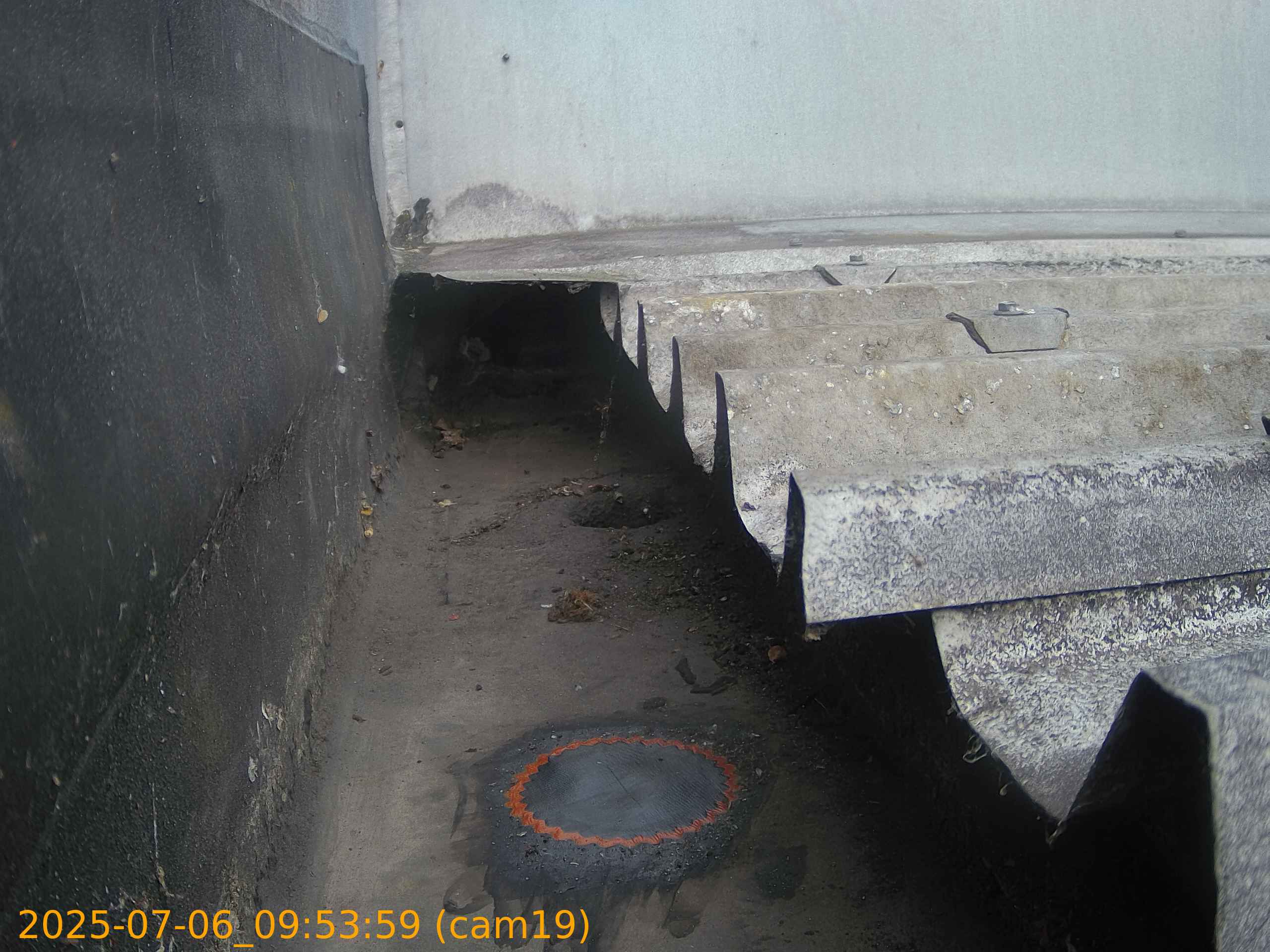 thumbnail_202507060953