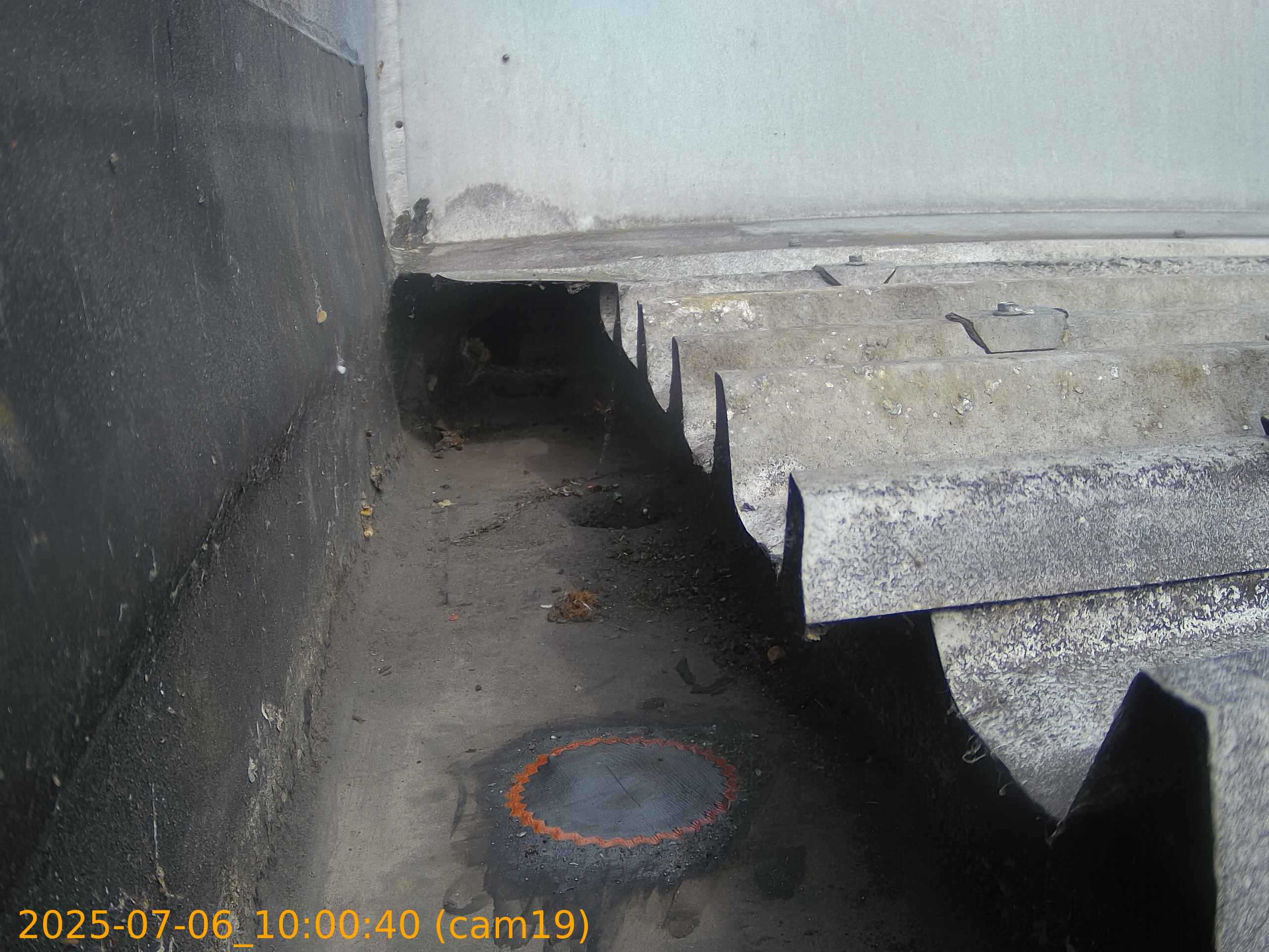 thumbnail_20250706100040