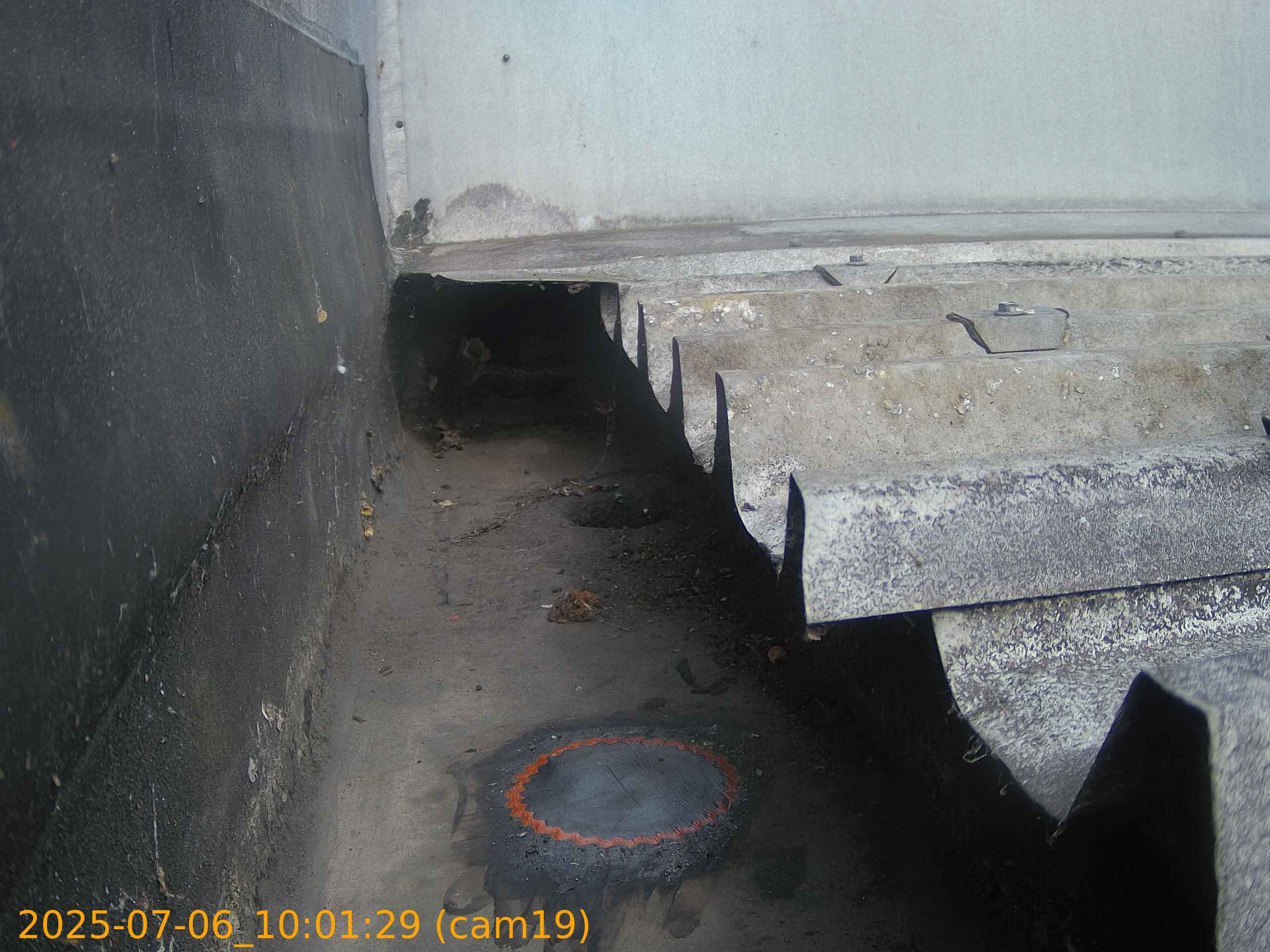 thumbnail_20250706100129