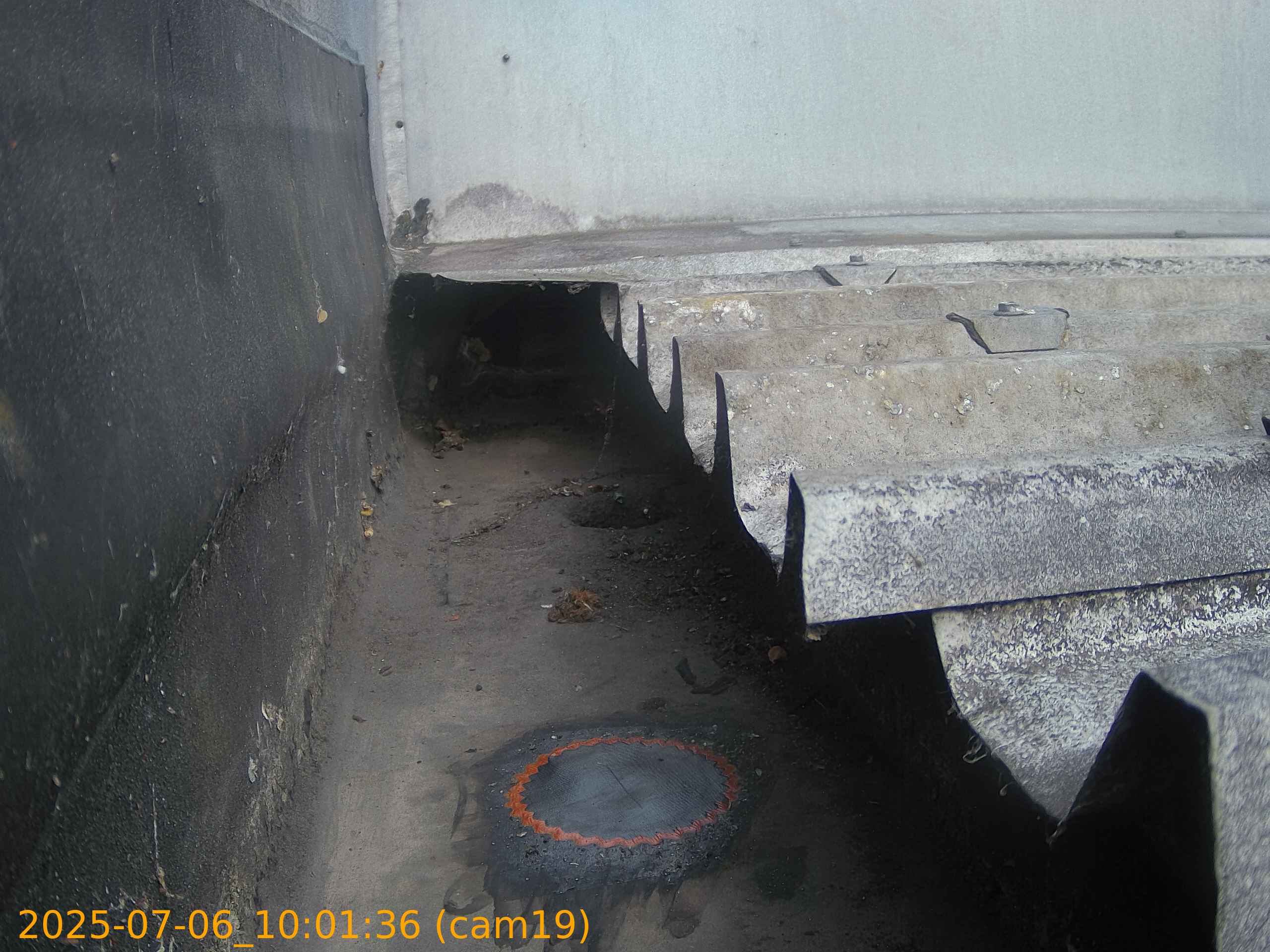 thumbnail_20250706100136