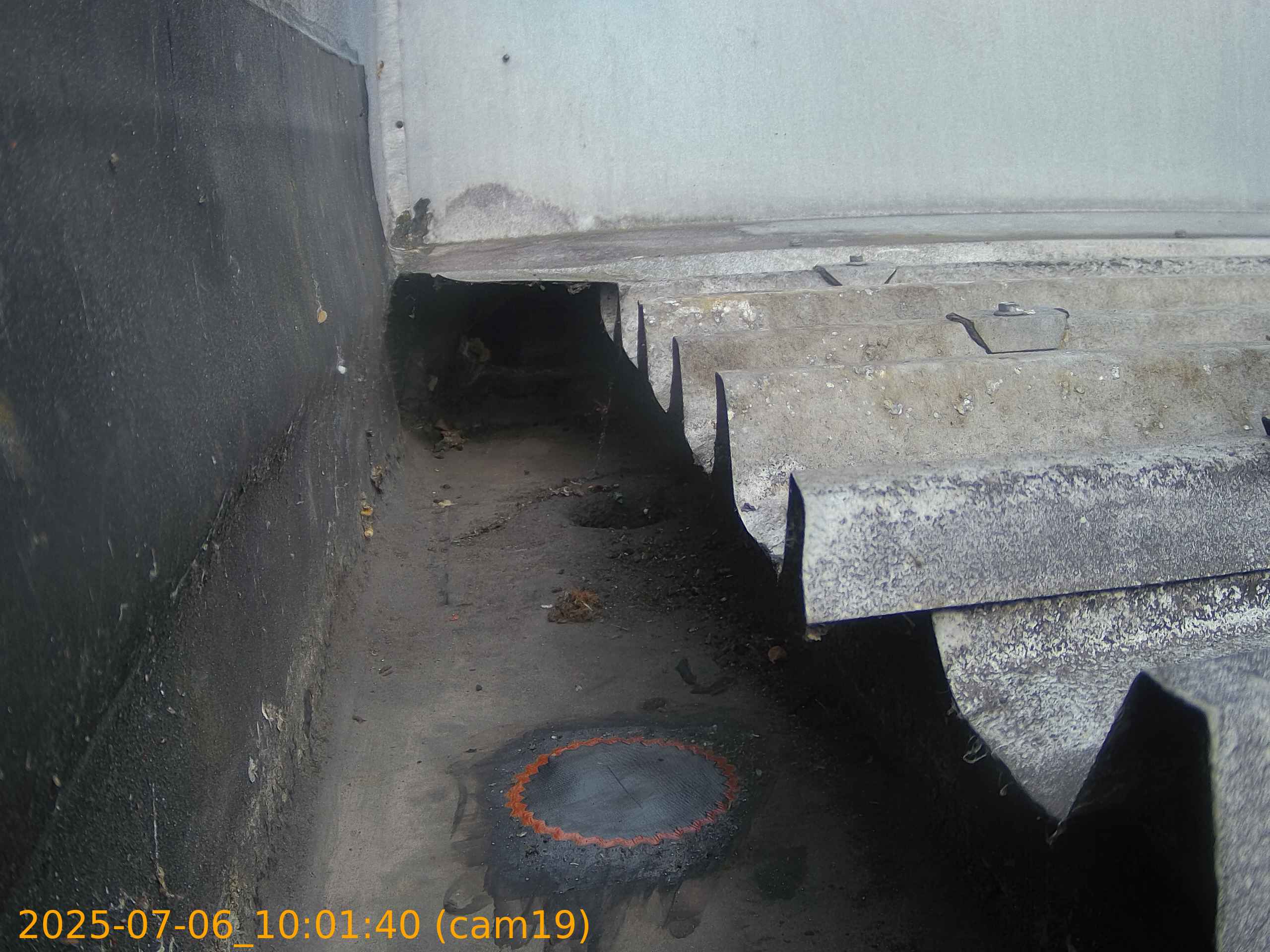 thumbnail_20250706100140