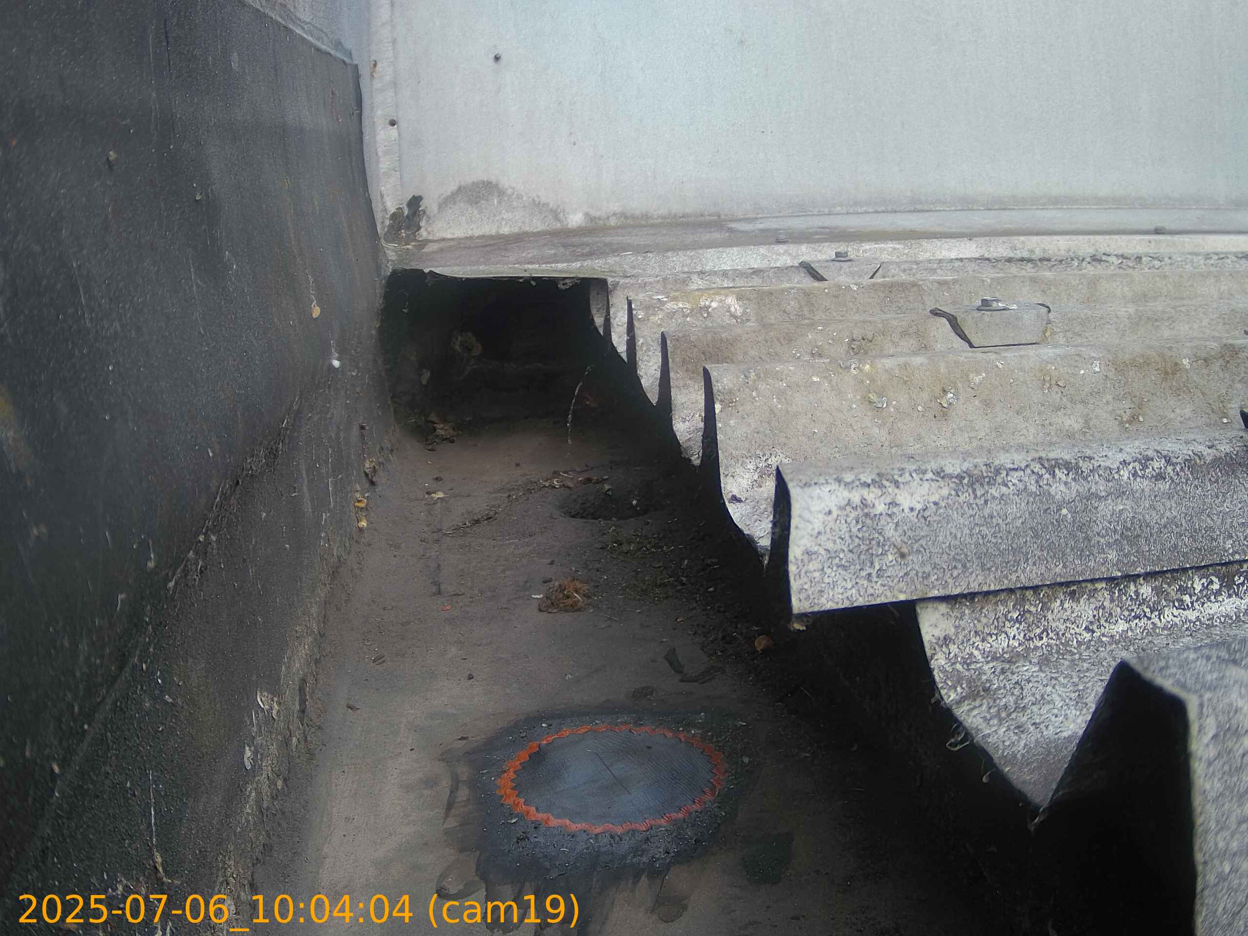 thumbnail_20250706100404