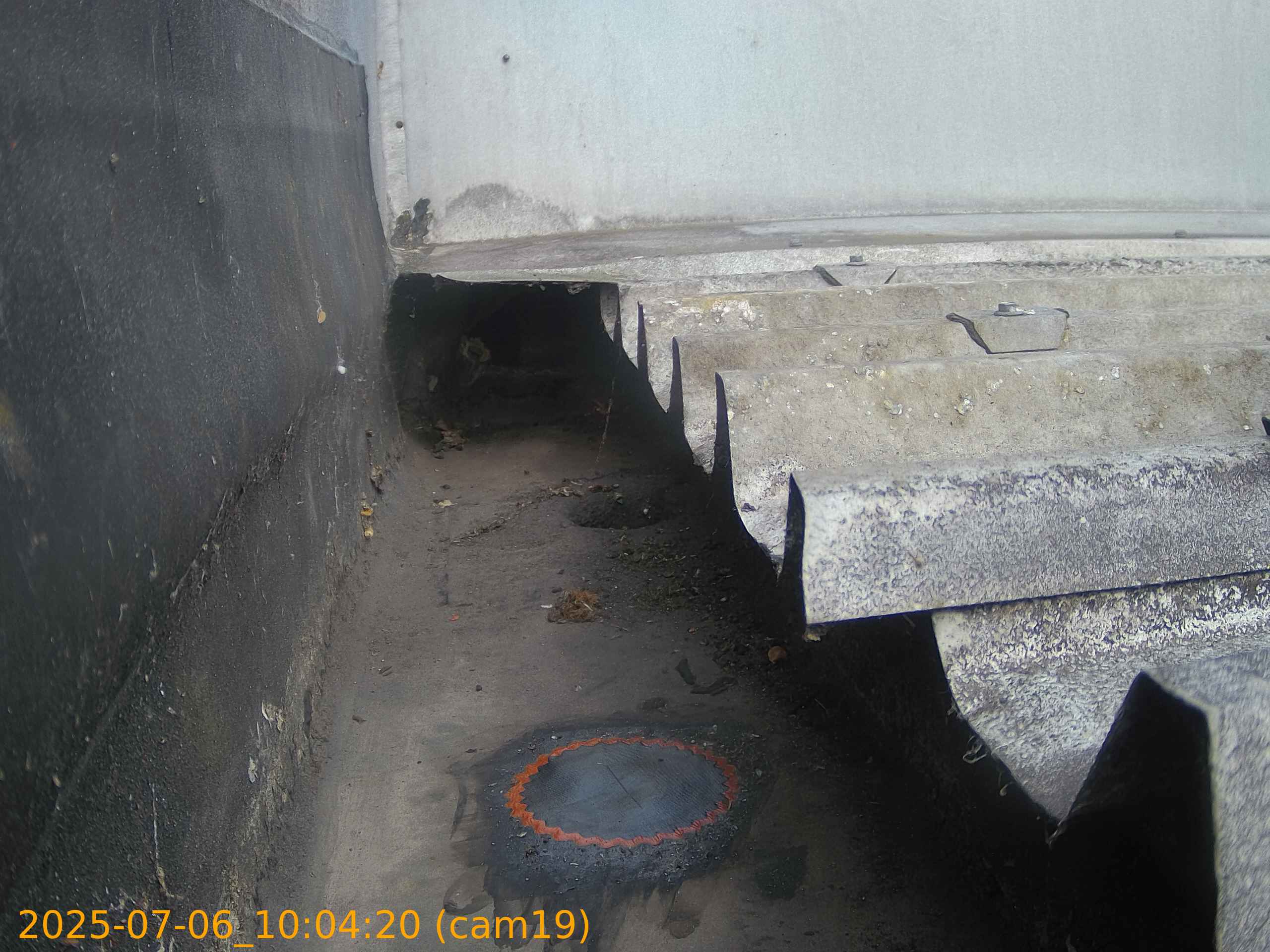 thumbnail_20250706100420