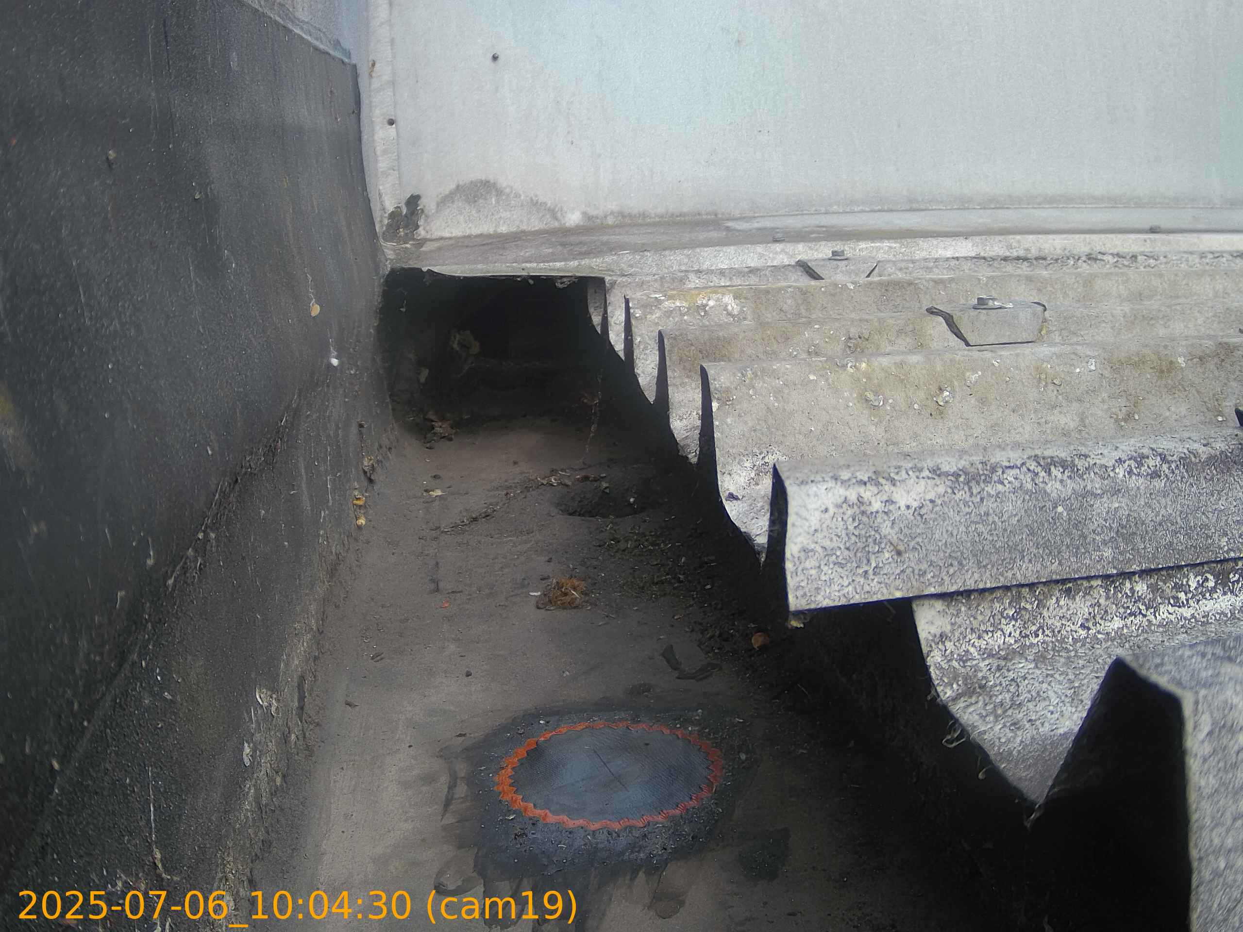 thumbnail_20250706100430