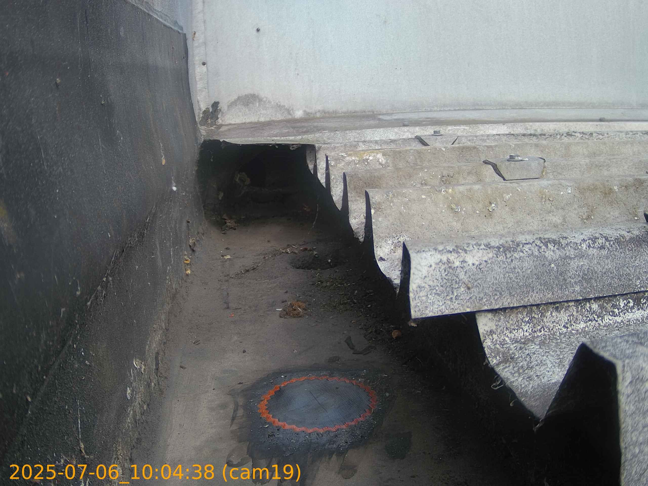 thumbnail_20250706100438