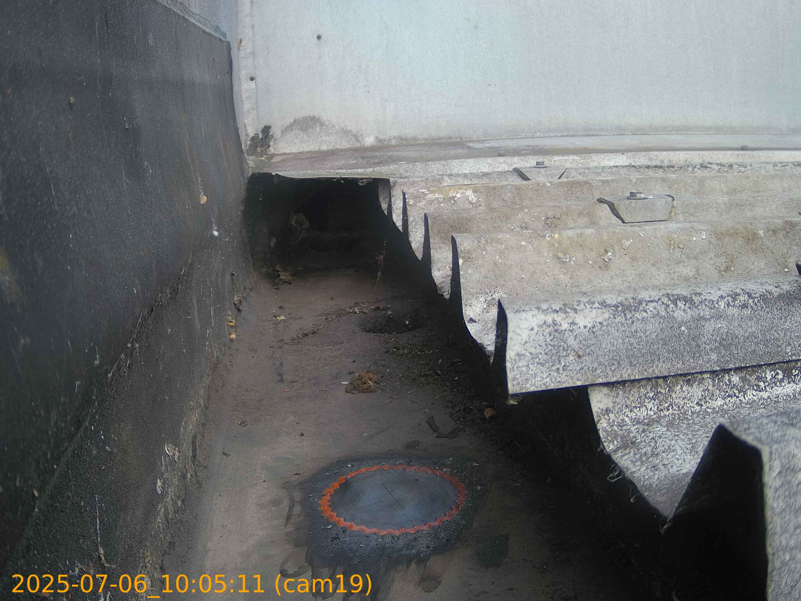 thumbnail_20250706100511