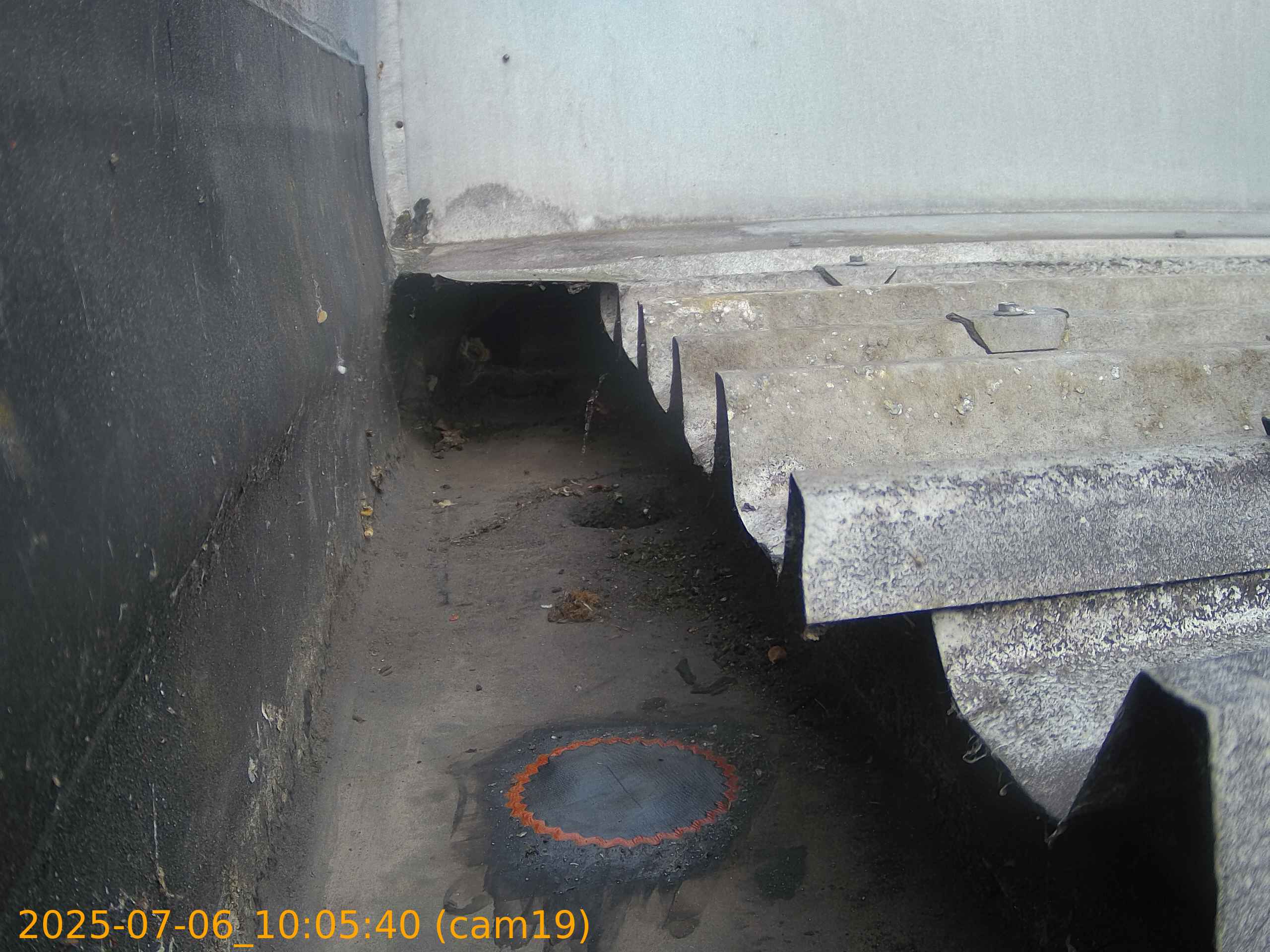 thumbnail_20250706100540