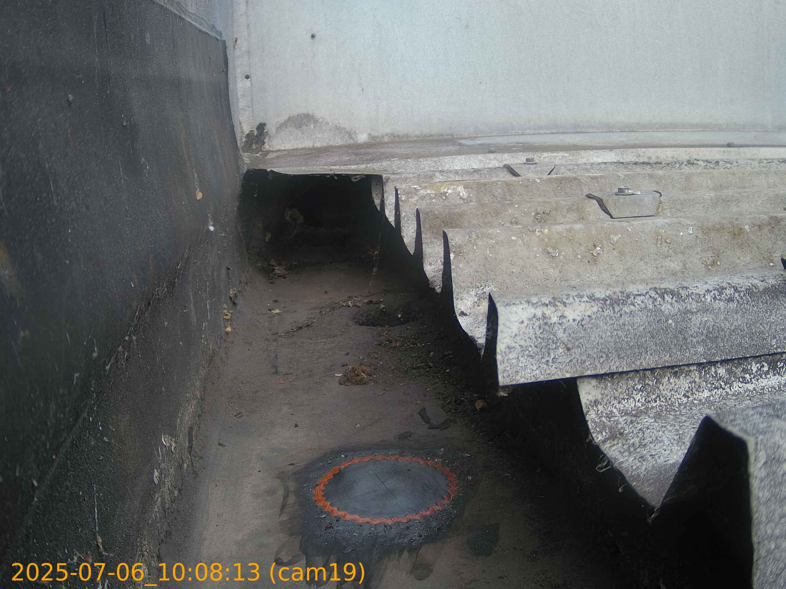 thumbnail_20250706100813